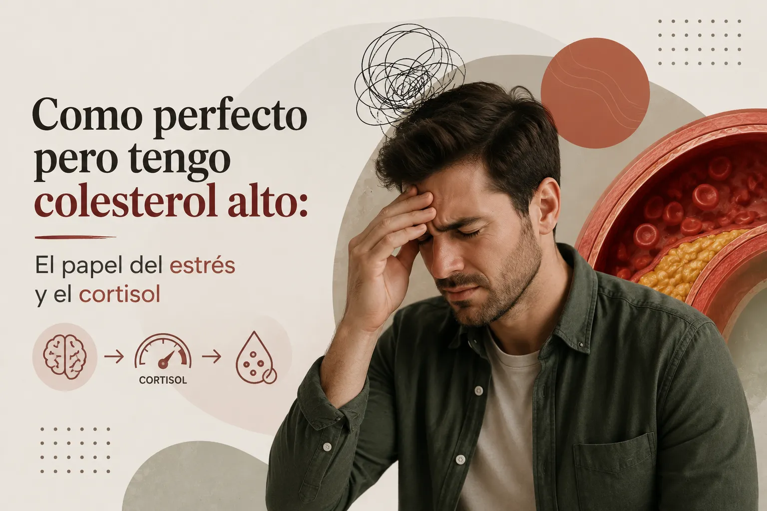 Como perfecto pero tengo colesterol alto: El papel del estrés y el cortisol